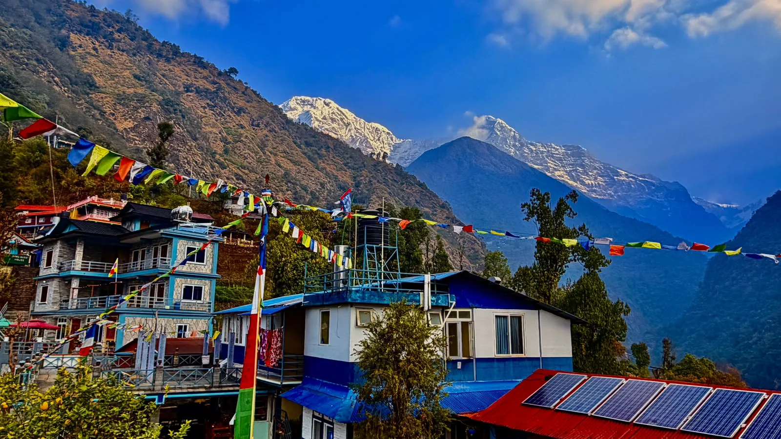 Best Nepal Tour Package, Easy Trek • Yoga • Meditation • Wildlife • Authentic Nepal