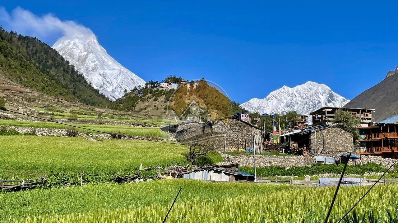Manaslu  and Larkey Pass trek
