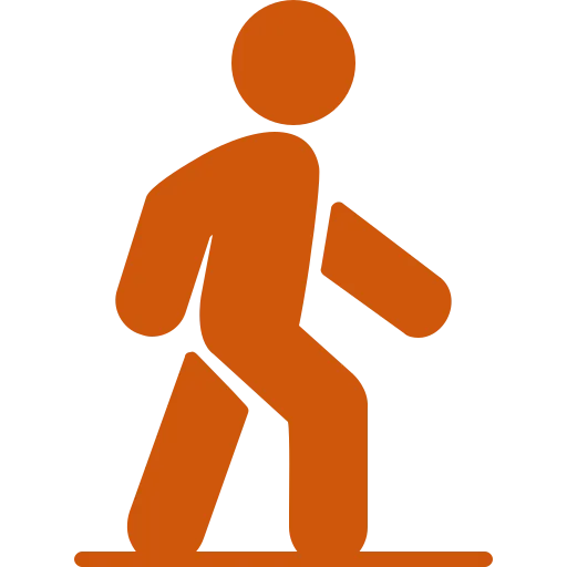 Icon Image